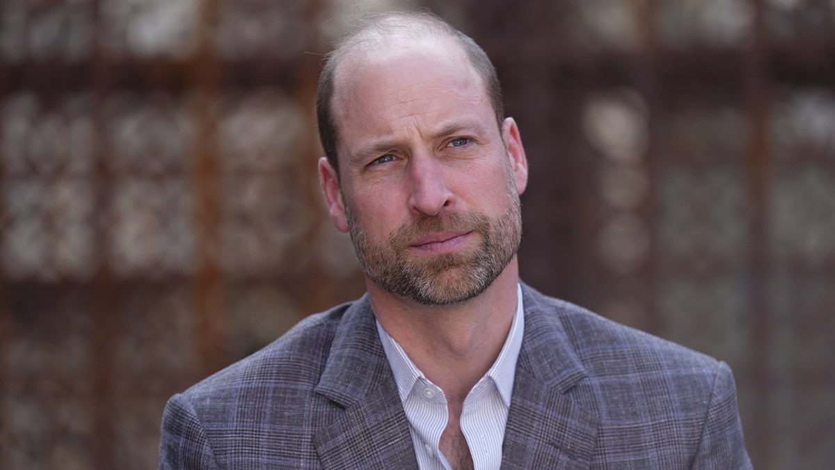Prince William’s environmental charity reported over partner’s Epstein ties at george magazine