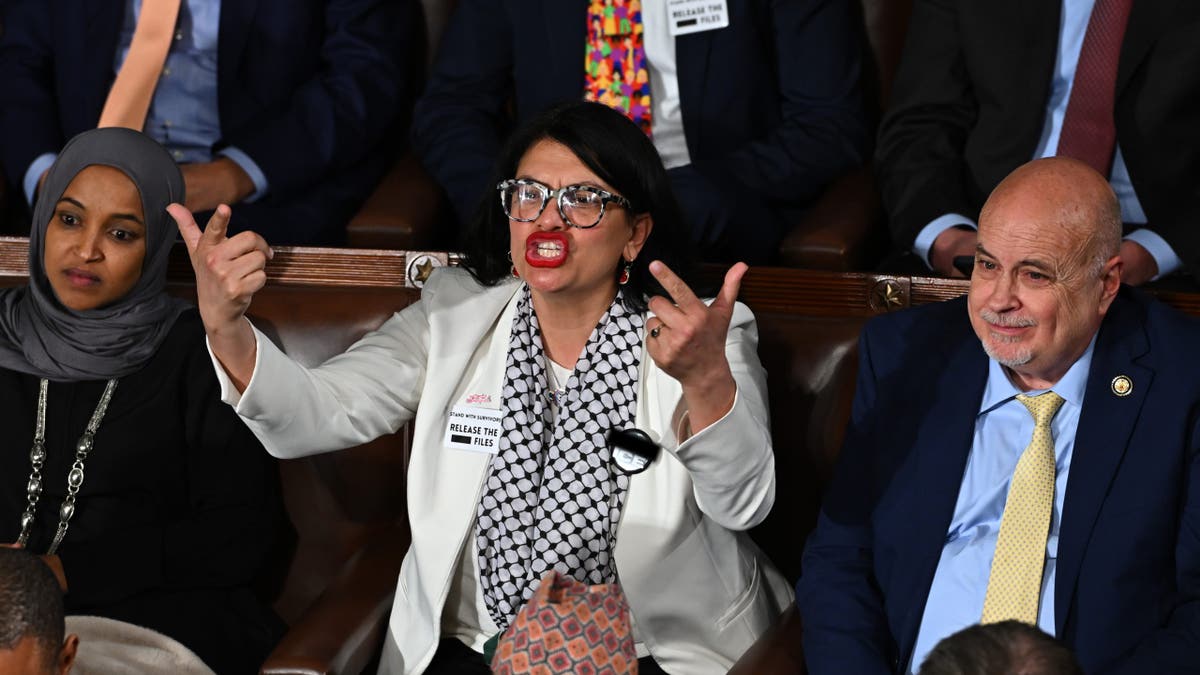'Squad' member wears 'F--- ICE' pin on House floor during Trump address at george magazine
