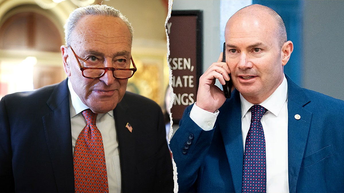 Mike Lee calls Schumer's 'Jim Crow 2.0' attack on voter ID bill 'paranoid fantasy' at george magazine