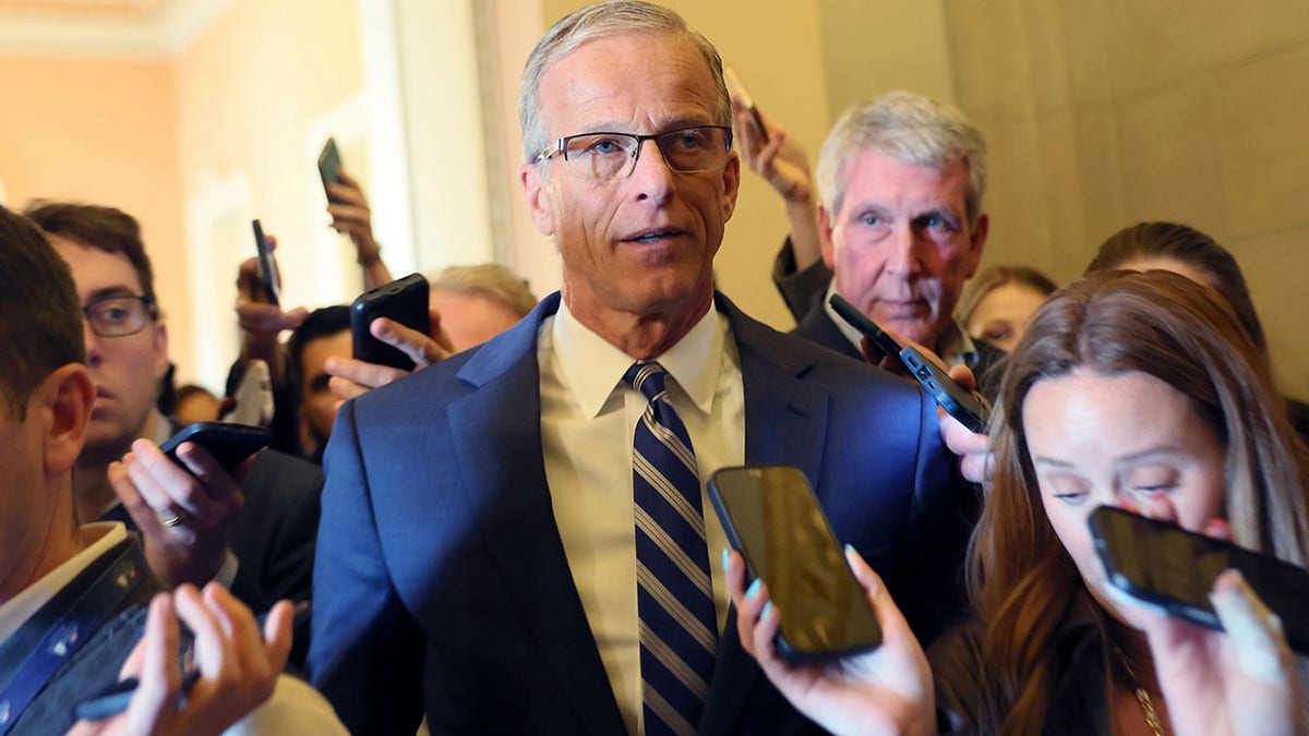 Thune guarantees voter ID bill to hit the Senate despite Schumer, Dem opposition: 'We will have a vote' at george magazine