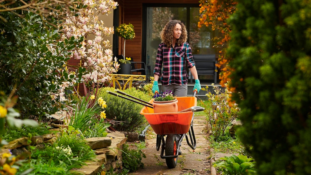 19 lawn and garden products worth buying before spring hits at george magazine