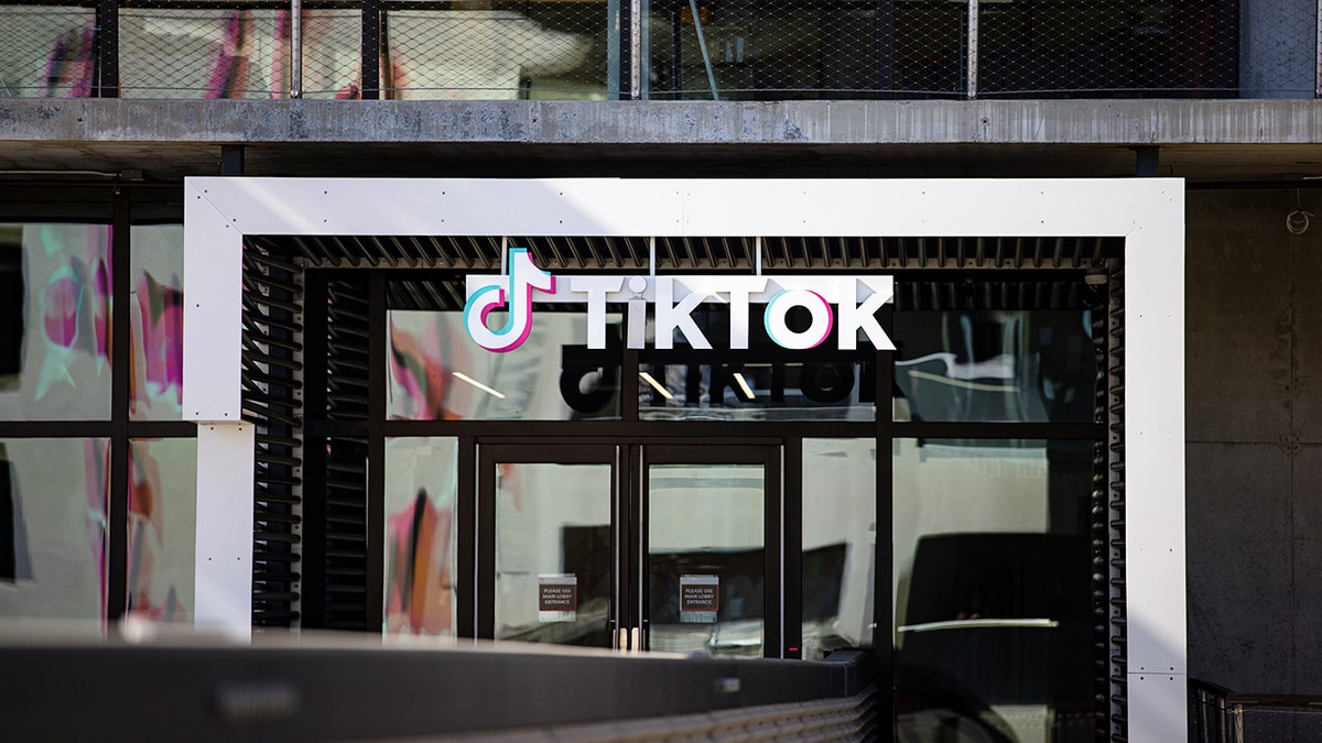 TikTok after the US sale: What changed and how to use it safely at george magazine