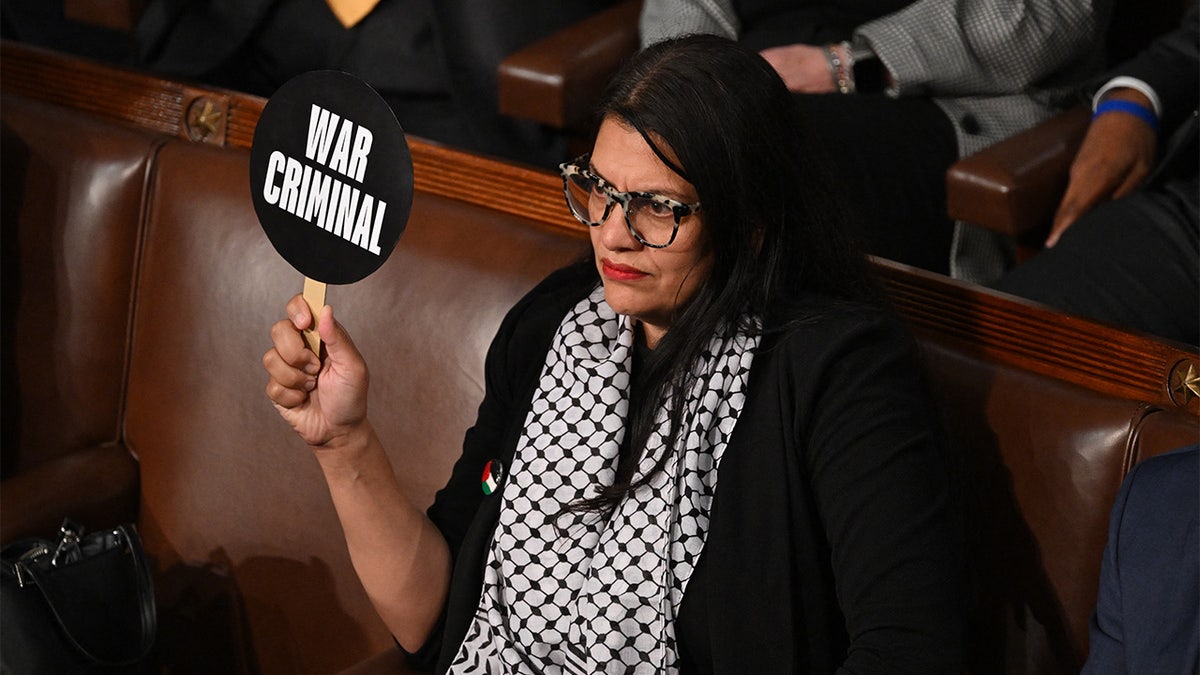 Watchdog releases scathing report on Tlaib's alleged ties to terrorist groups, warning of 'potential risks' at george magazine