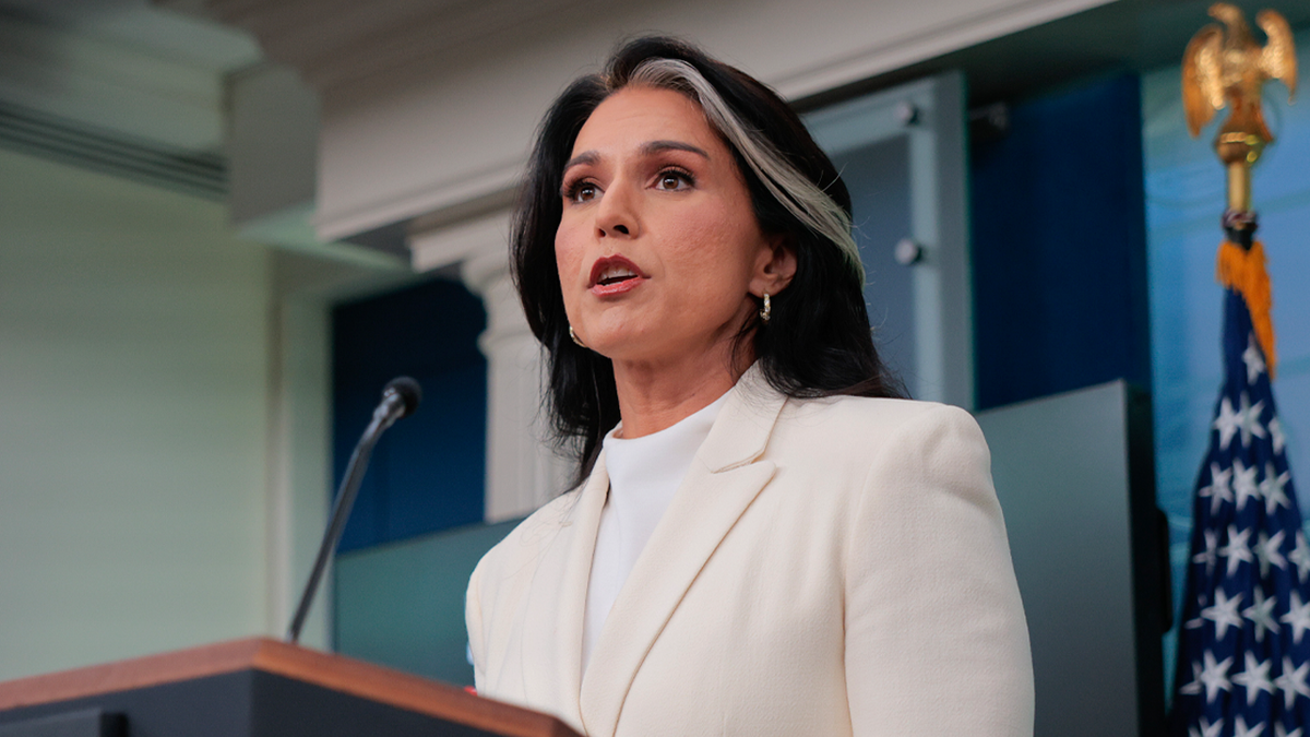 EXCLUSIVE: Gabbard outlines election security assessment, presence at Fulton County search at george magazine