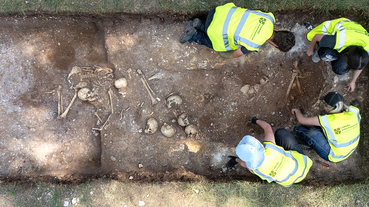 Archaeologists unearth Viking-era 'execution pit' near university town, exposing brutal ancient violence at george magazine
