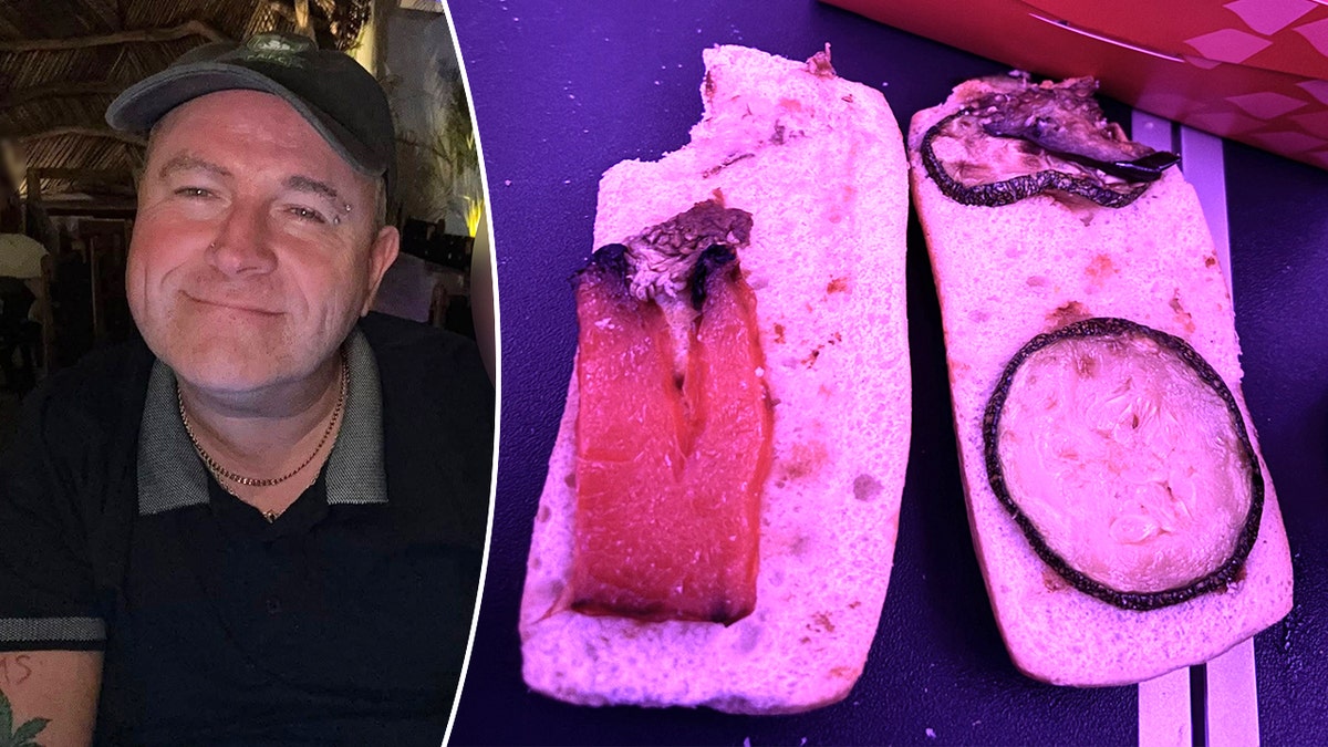 Vegan passenger horrified after airline served 'rotten' sandwich on flight: 'Worst meal I have ever had' at george magazine