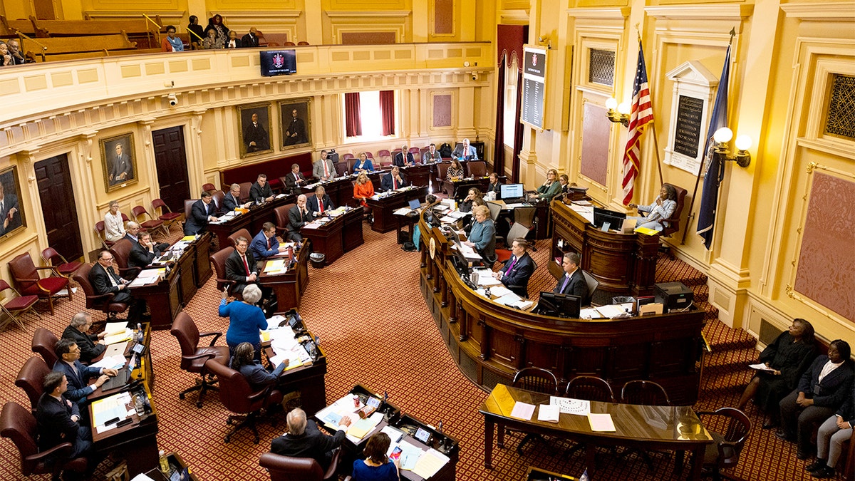 RNC sues to stop Democrats' Virginia redistricting push at george magazine