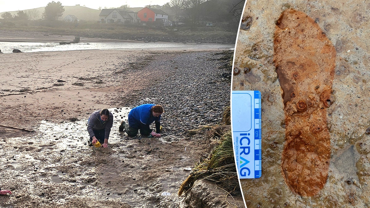 Dog walkers trigger archaeological race to preserve 2,000-year-old footprints in shifting sands at george magazine
