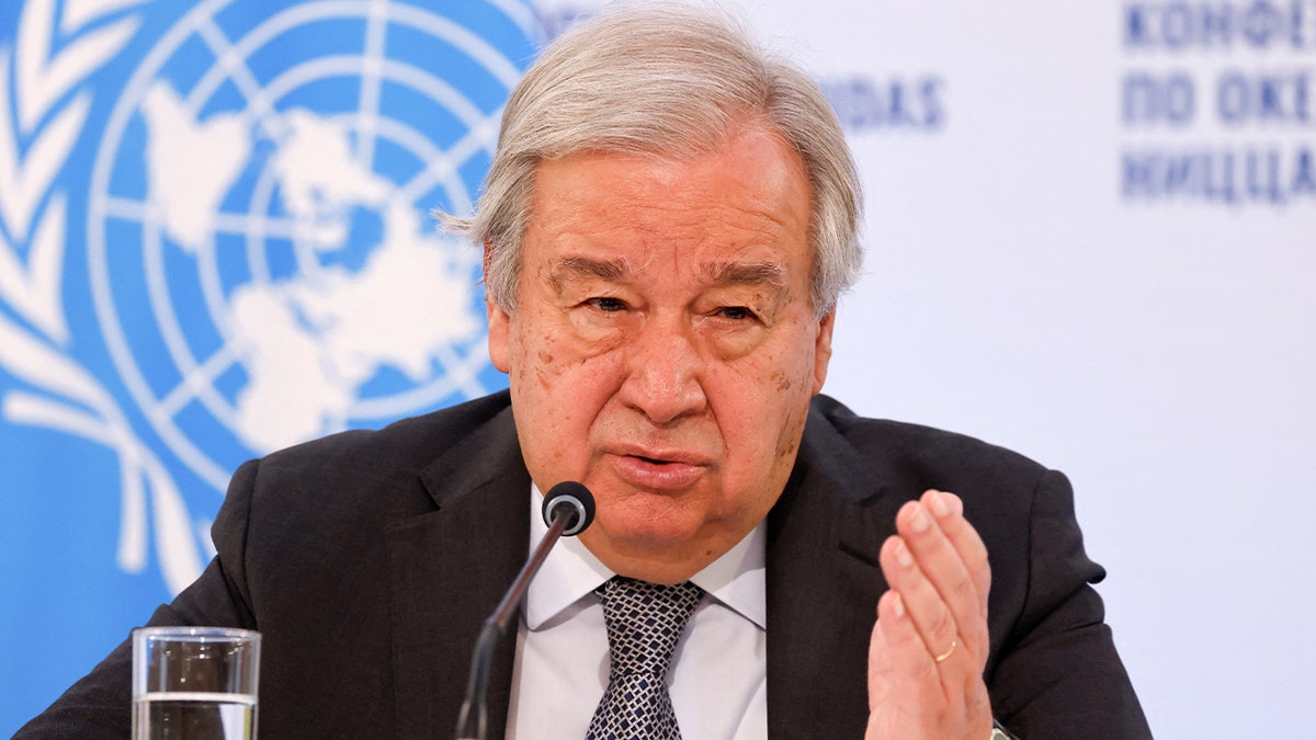 LIZ PEEK: Democrats rage over Trump’s Iran strikes as exiles cheer ayatollah’s fall at george magazine