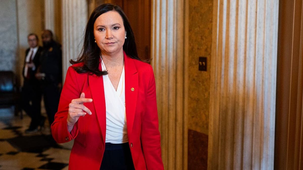 GOP senator launches effort to close Medicaid loophole allowing fraudsters to rake in millions at george magazine