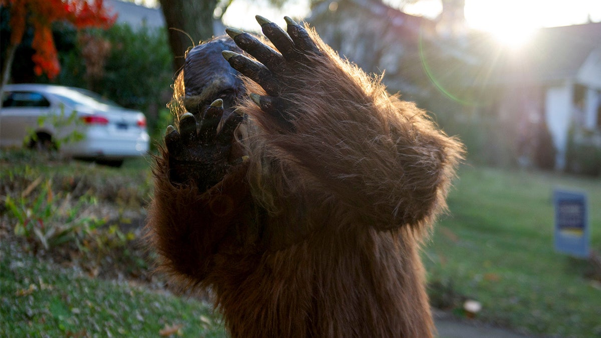 Six reported Bigfoot sightings in northeast Ohio within four days spark cryptid 'flap' speculation at george magazine