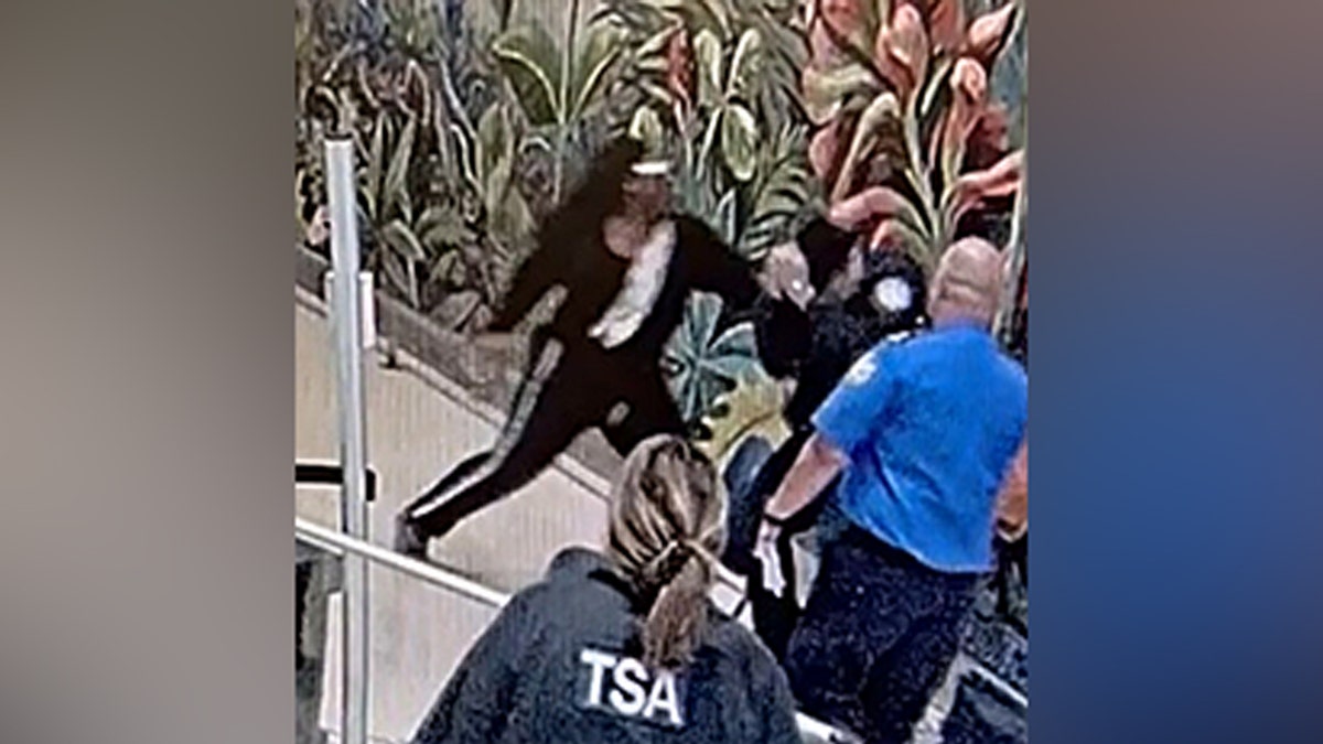 Man accused of attacking TSA officers, seriously injuring Dallas cop at airport at george magazine
