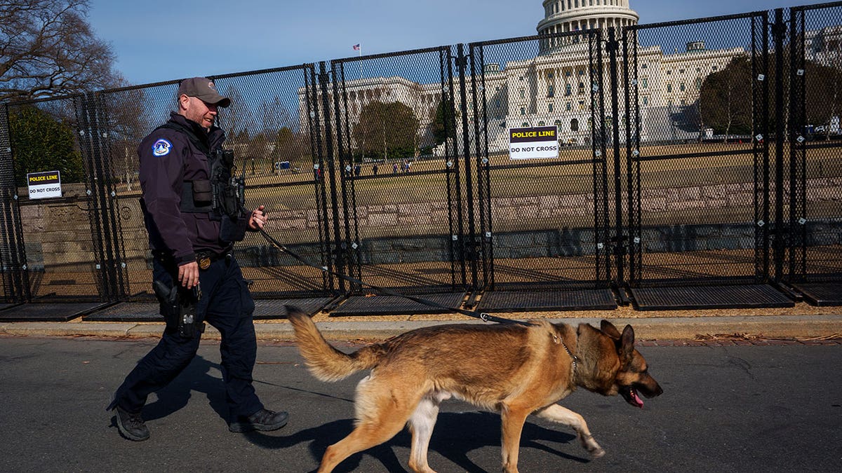 House Democrats vote against deporting immigrants who harm police dogs, horses at george magazine