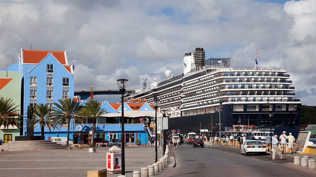 Dream vacation becomes nightmare as dozens fall ill in suspected norovirus outbreak on cruise ship at george magazine