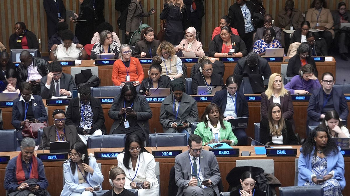 0th session of the United Nations Commission on the Status of Women (CSW) in New York