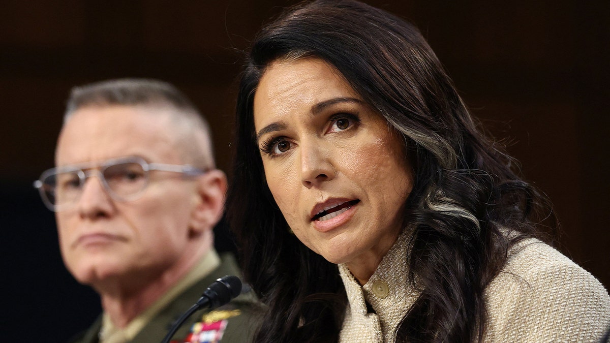 Gabbard sidesteps Iran ‘imminent threat’ claim under Senate grilling at george magazine
