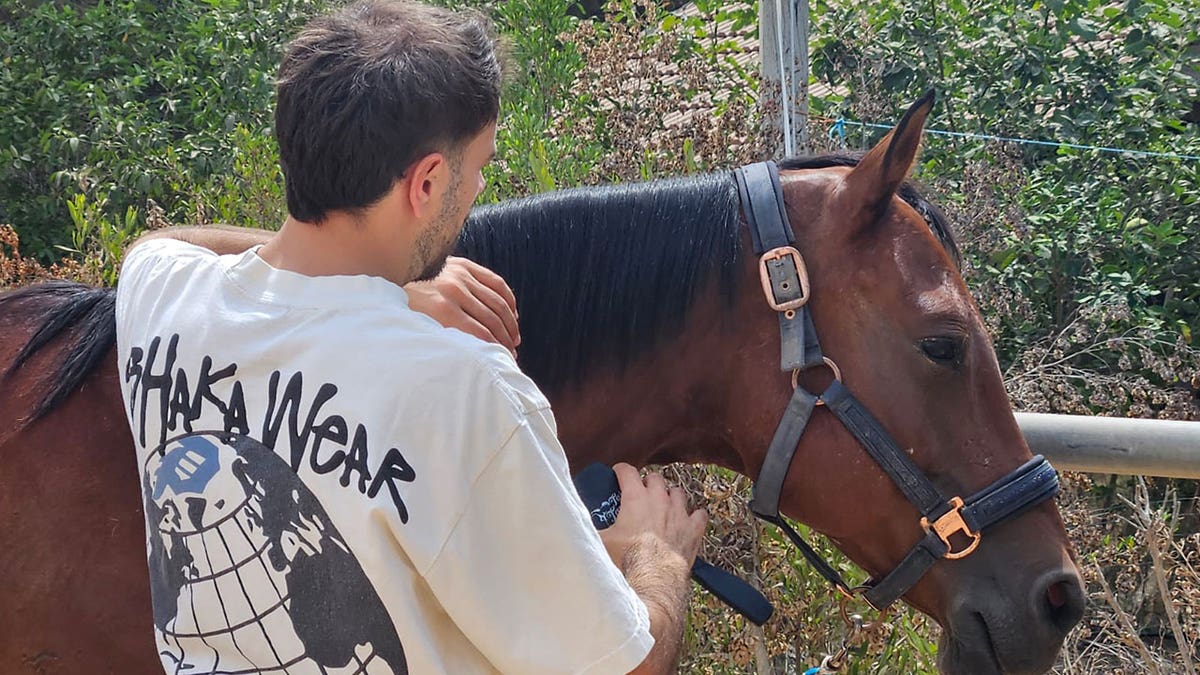 Horses help heal soldiers amid Israel’s mounting PTSD crisis after Oct 7 attacks at george magazine