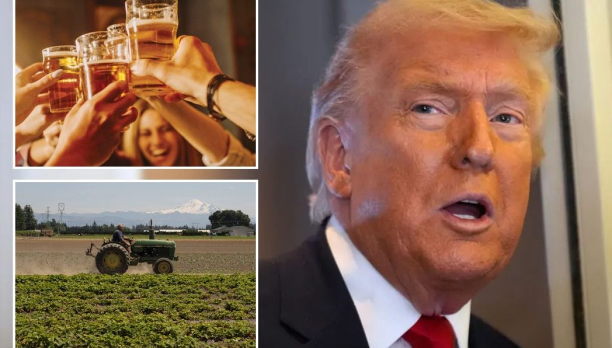 House lawmakers to Trump: Don’t tariff Mexican beer at george magazine