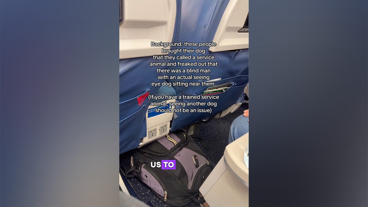 Viral video appears to show blind plane passenger caught in tense service dog dispute at george magazine