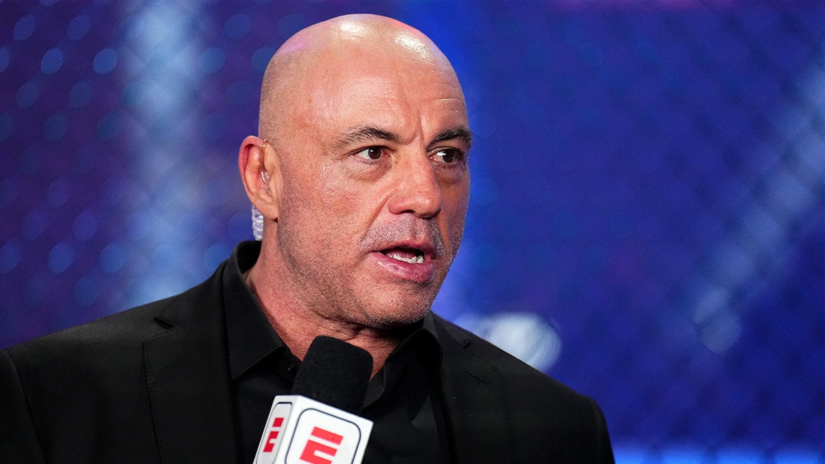 Joe Rogan rips Gavin Newsom for mocking Nick Shirley over his 'billion dollar' fraud investigations at george magazine