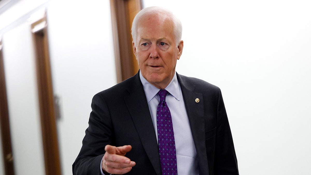Cornyn reverses on filibuster stance to push Trump's SAVE Act in Senate at george magazine