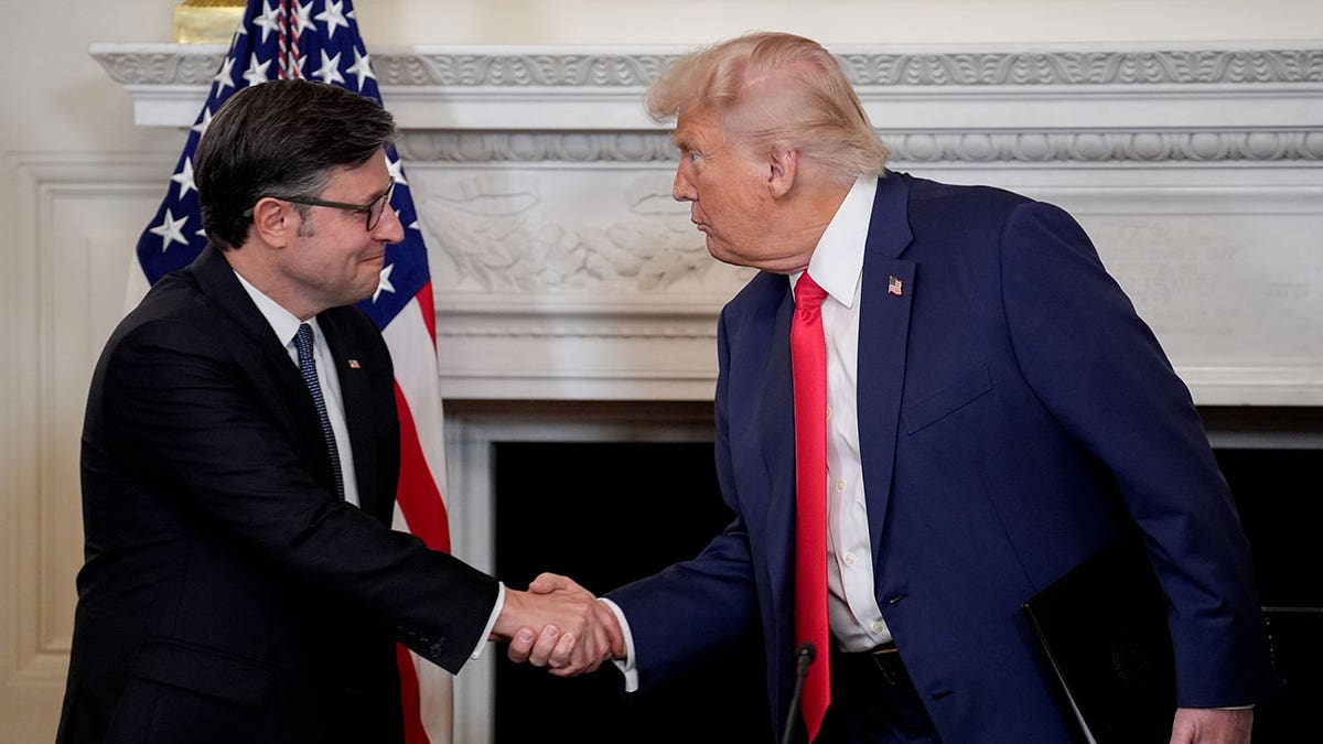 Speaker Johnson touts Trump's agenda as crucial blueprint ahead of midterms: 'On the ballot' at george magazine