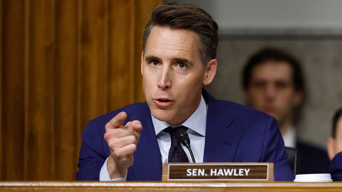 Hawley launches Google investigation after 'shocking' child trafficking testimony at Senate hearing at george magazine