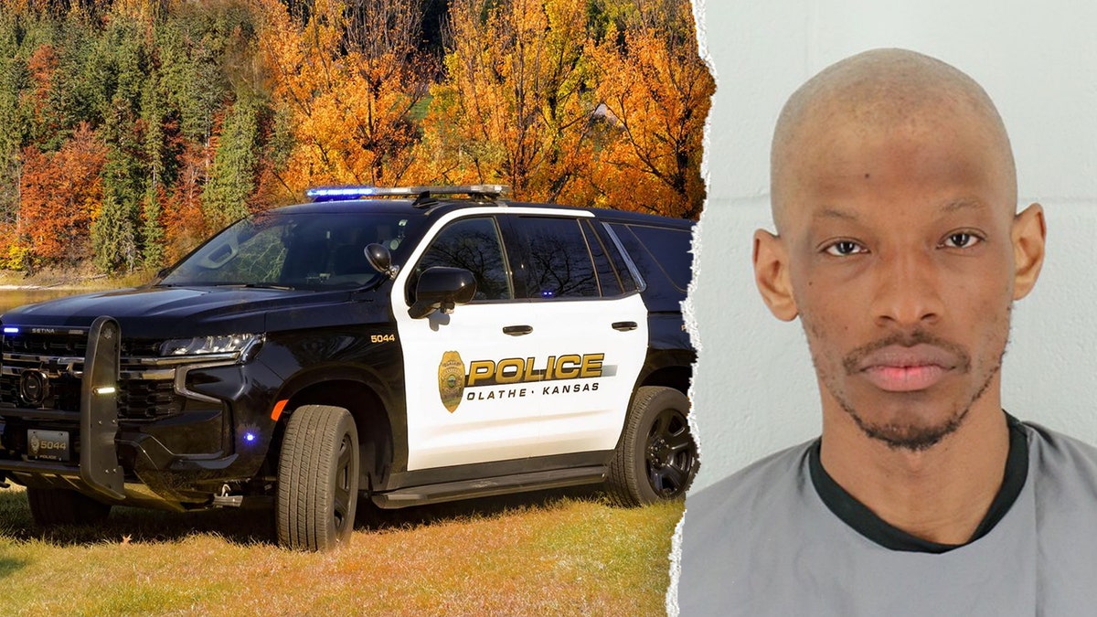 Kansas man charged in unprovoked park stabbing that left woman critically injured at george magazine