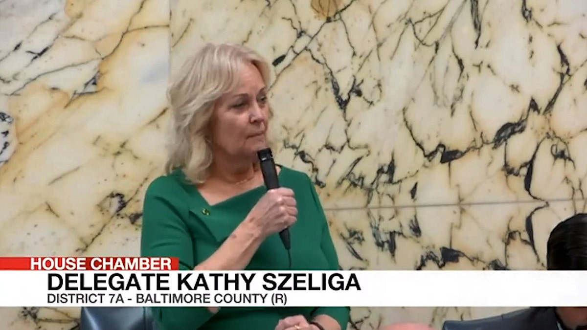 Maryland Dems mocked for prioritizing tampons in men’s bathrooms amid state deficit: 'Nonsense' at george magazine