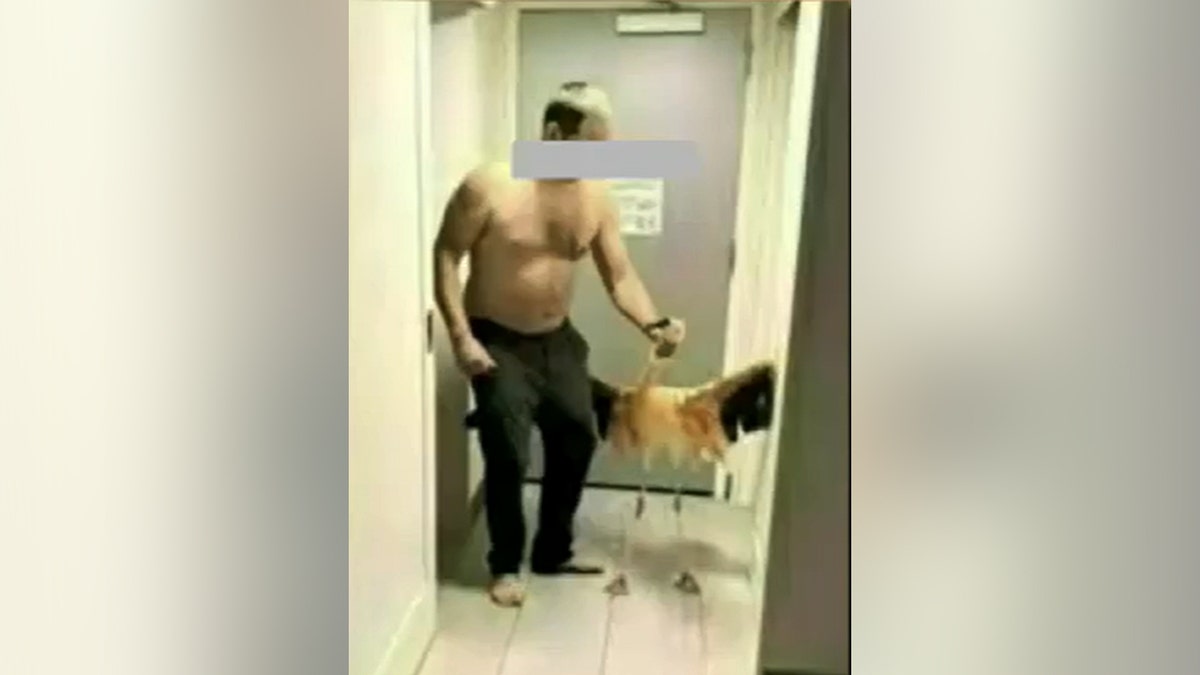 Tourist's bird-brained Vegas stunt with flamingo lands him behind bars on felony charges at george magazine