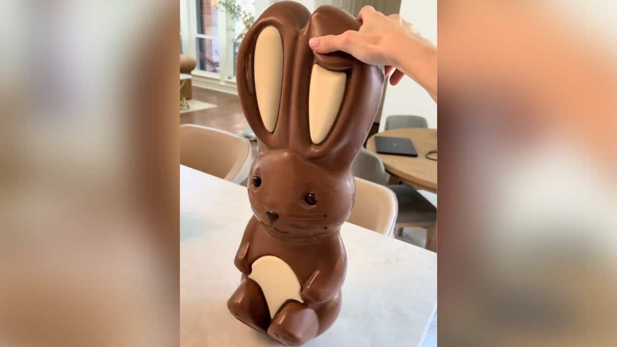 Giant chocolate bunny, made of white, dark and milk chocolate, seen on content creator's counter.