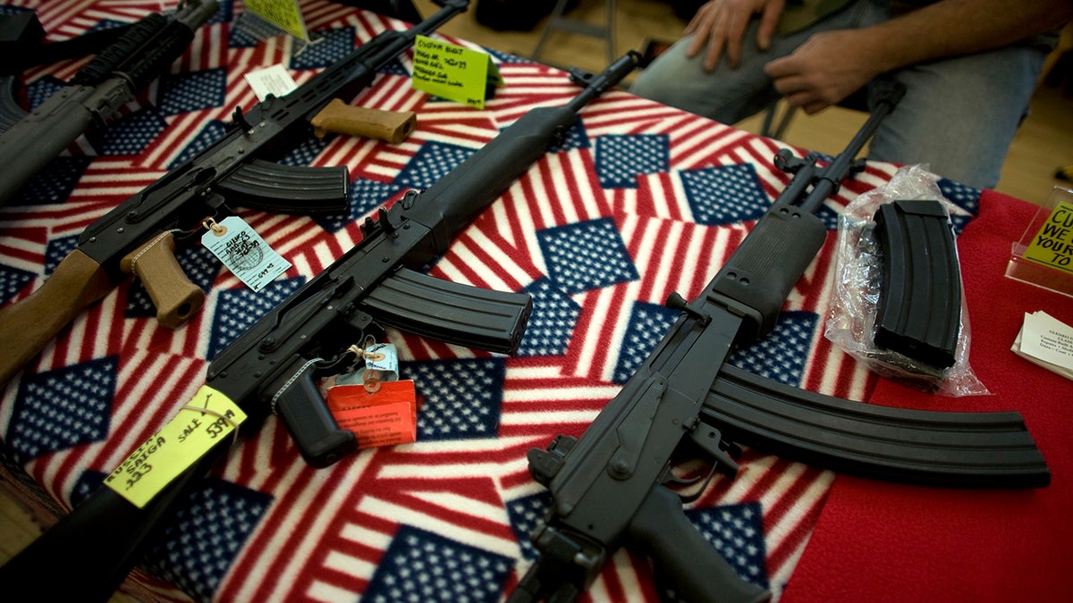 Gun rights expert says Minnesota Dems tried to block her testimony on firearm bills to 'avoid' policy debate at george magazine