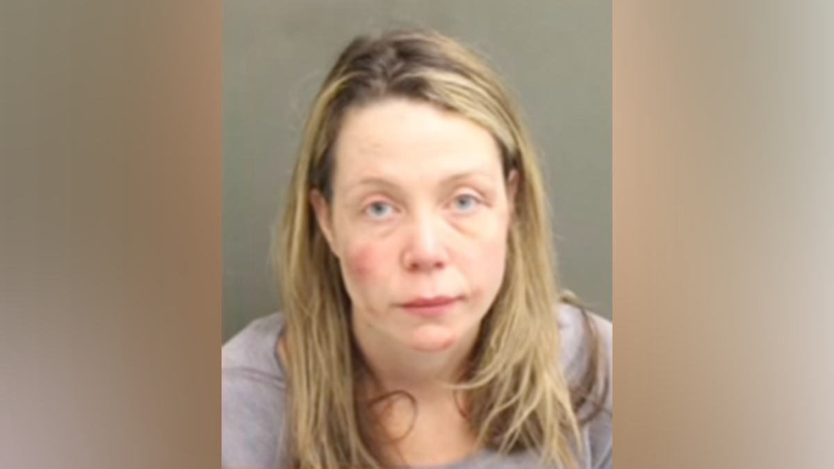 Florida woman seen on video allegedly attacking pregnant driver, elderly bystander and biting police officer at george magazine