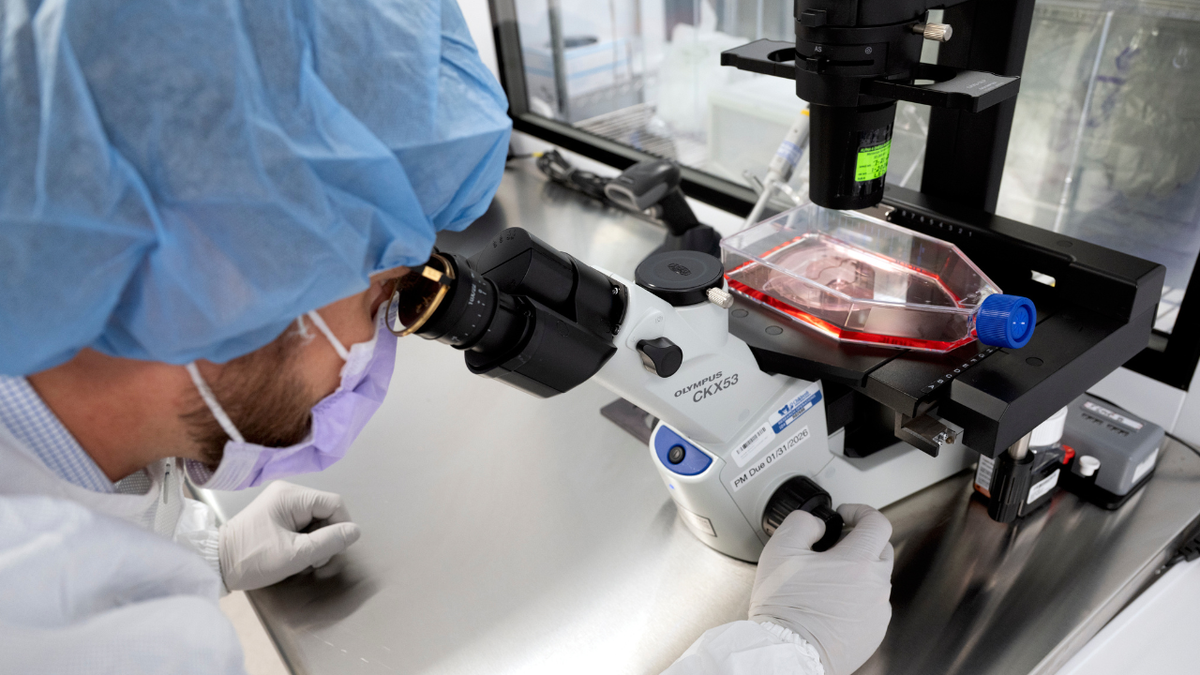 A cure for cancer would deliver $185T economic windfall, report says at george magazine