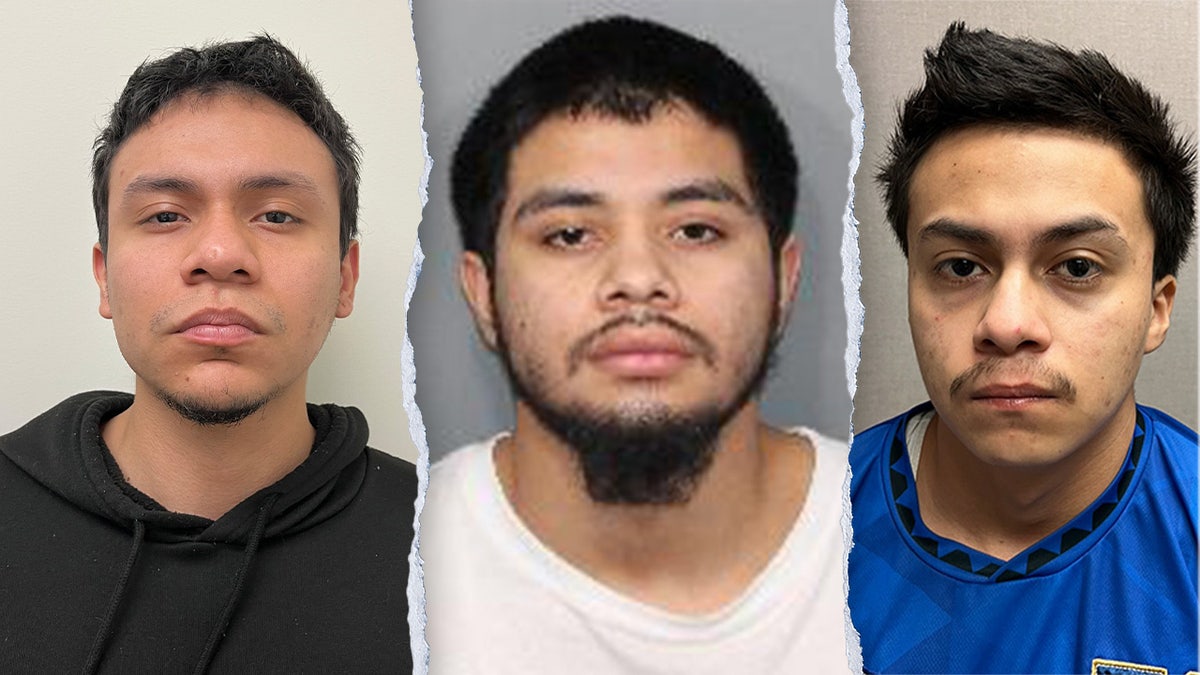 Four illegal immigrants linked to MS-13 indicted for allegedly murdering 14-year-old boy in Maryland park at george magazine