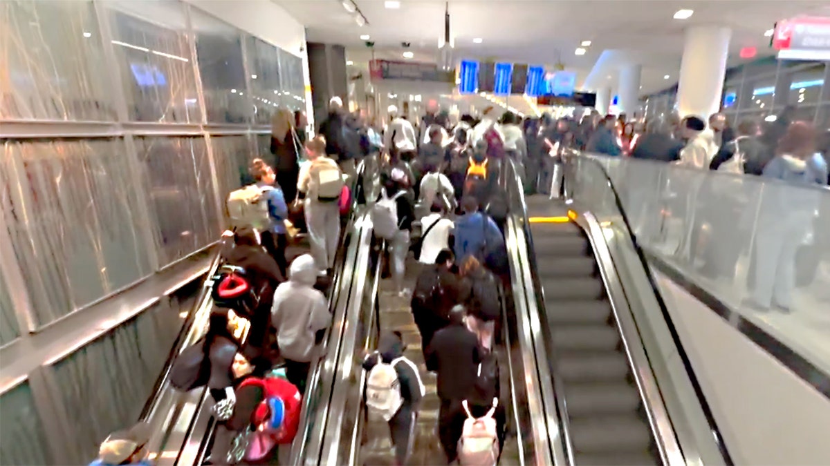 Video captures crazy airport crowds as passengers pour into terminal after security checkpoints close at george magazine