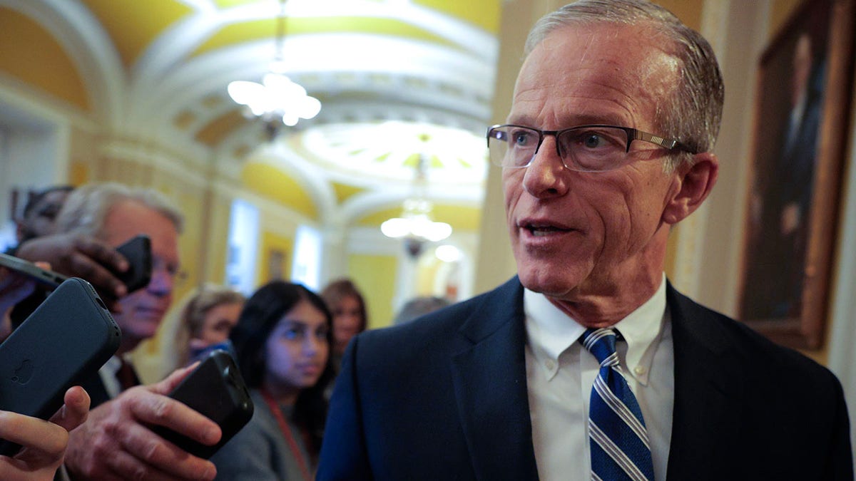 Thune reveals reason Democrats are 'scared' to reopen DHS at george magazine