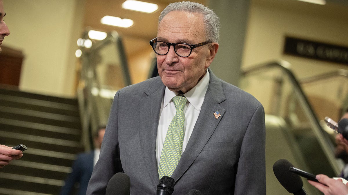 Schumer, Dems hold firm on DHS funding despite Noem's bombshell ousting at george magazine