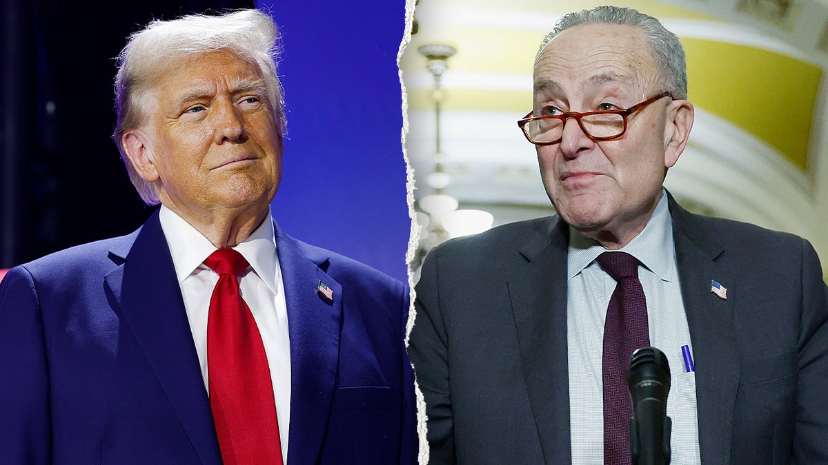 Schumer knocks Trump on Iran, plan to send ICE to airports: 'Asking for trouble' at george magazine
