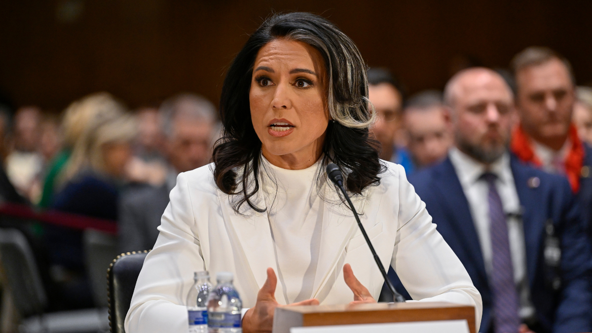 Gabbard unaware of FBI probe into Joe Kent before resignation, official says at george magazine