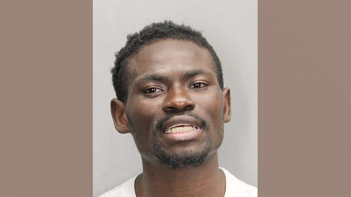 Mugshot of Akuamoa Boateng