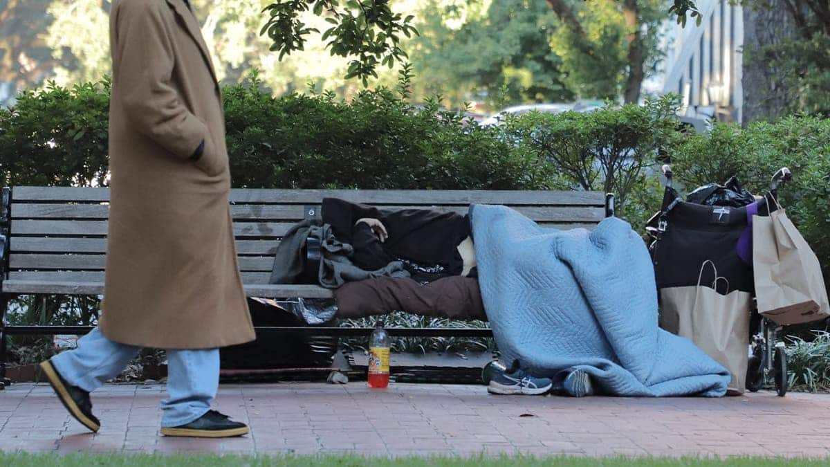 Homeless person rests on a bench