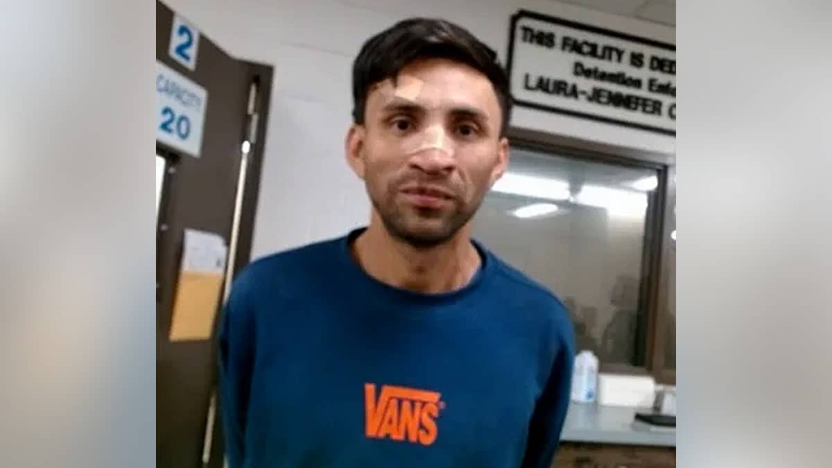 David Antonio Aviles Perez stands in his ICE mugshot