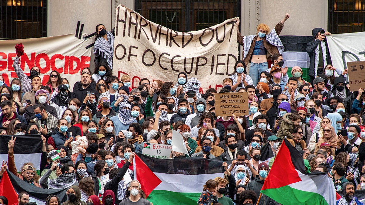 Anti-Israel agitators at Harvard