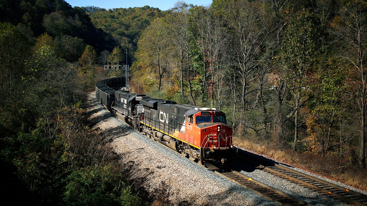train runs through hills and tall trees