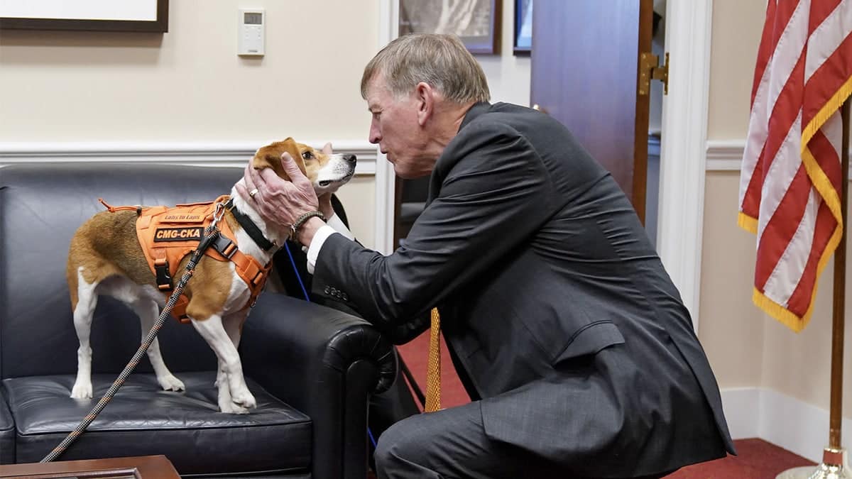 Rep. Gosar pets a beagle rescued from NIH