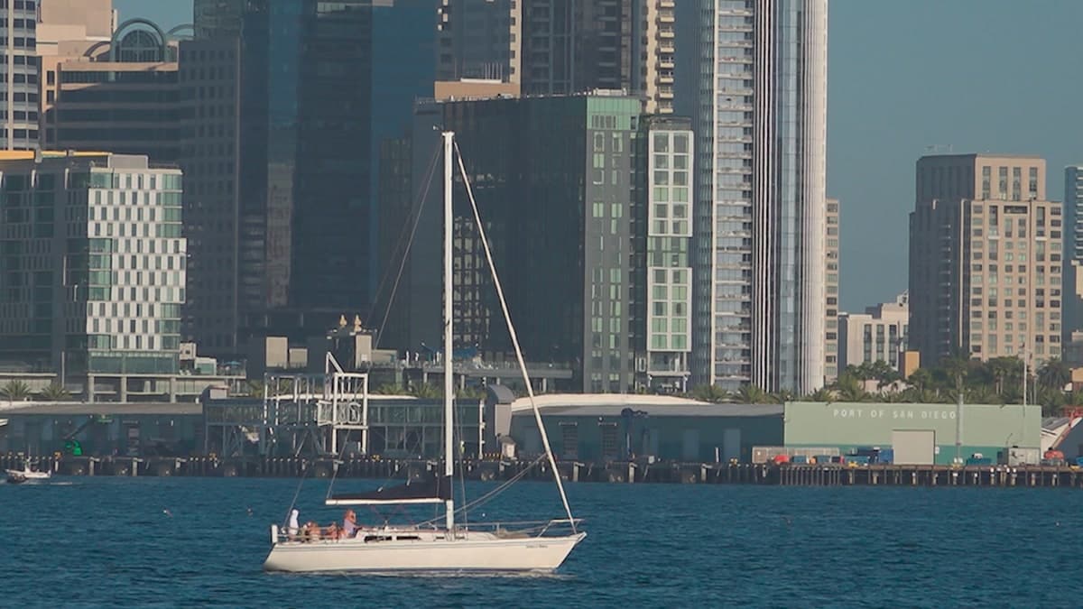 Sailboat glides across San Diego Bay with the city skyline in the background.