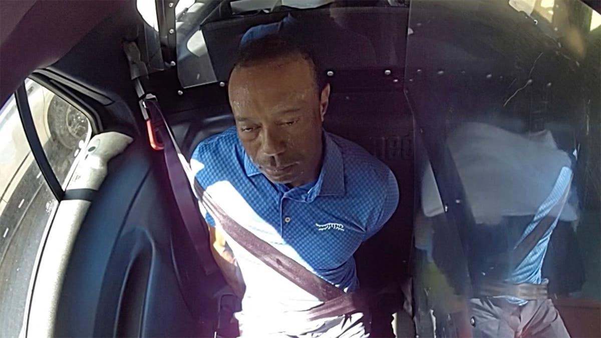 Tiger Woods in cop car