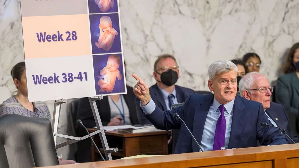 Sen. Bill Cassidy speaks during a Senate hearing while gesturing toward a display showing fetal development stages.