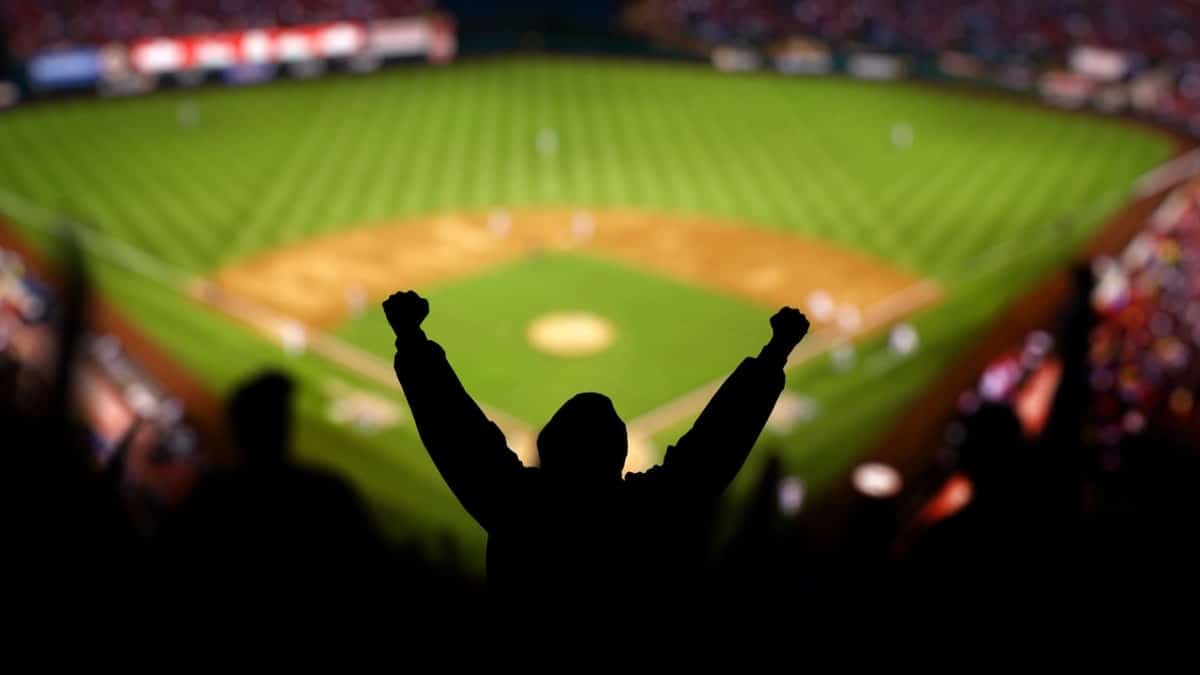 Fans cheering and celebrating at a baseball game